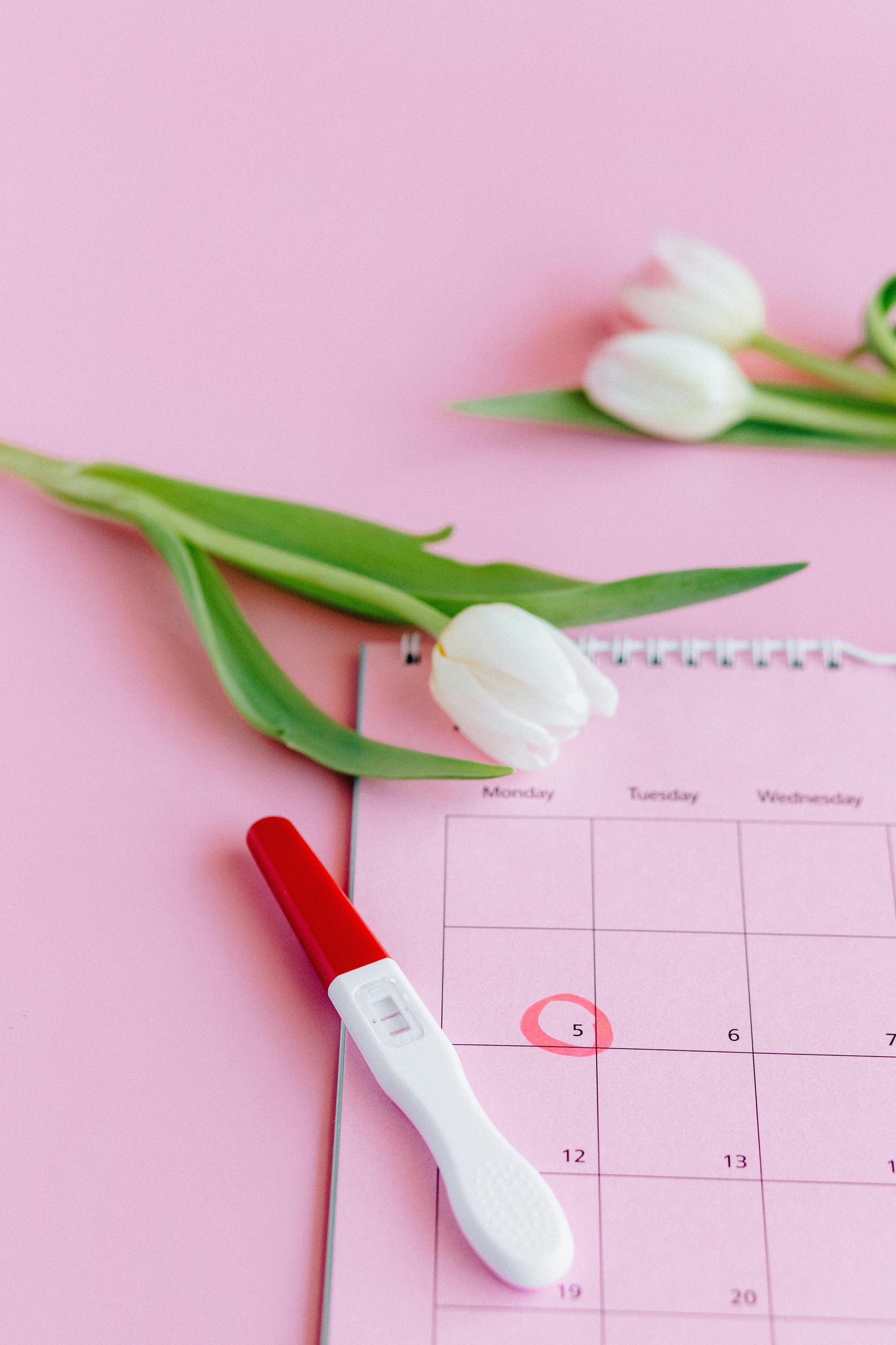 Path to Pregnancy Journal - Two Lines, One Dream